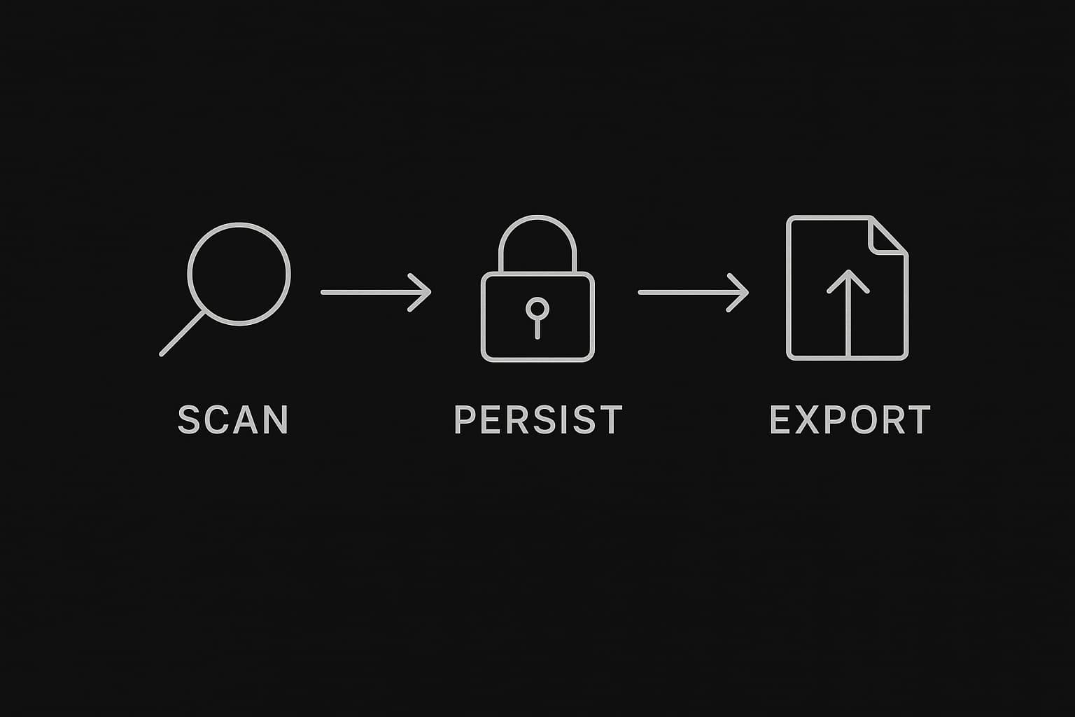 Black and white workflow showing scan, persist, and export steps.